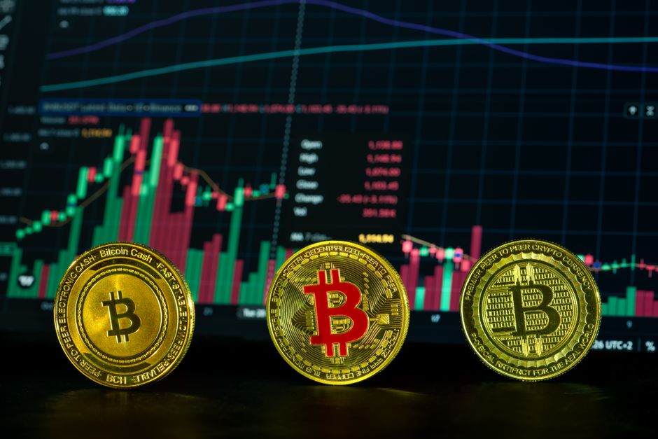 TBC People Trading case studies